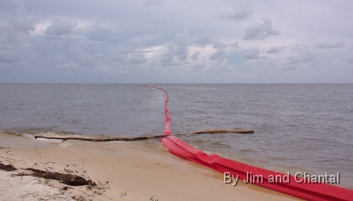  Log lies across boom deployed for BP oil spill. Alligator Point: .