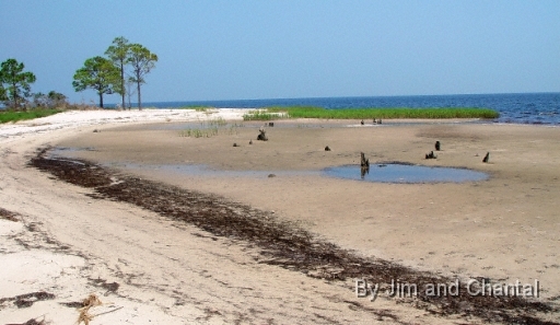 Mashes Sands river side beach after the hurricane Dennis storm surge.