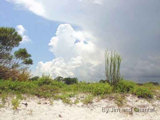  Storm clouds and small dune at Mashes Sand.