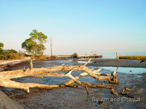  The river side of Mashes Sands on the Ochlockonee river, at low tide (evening view).