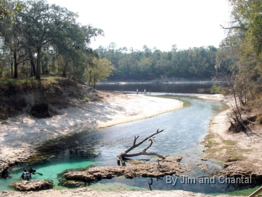  Little River Springs.  A popular diving and swimming spot in north-central Florida.