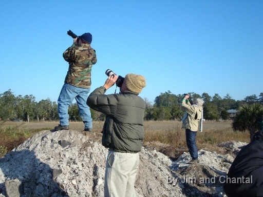  Photographing the whooping cranes  Operation Migration at St. Marks Florida, January 2010