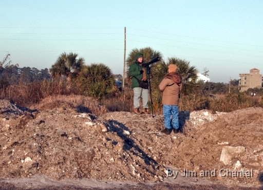  Dirt pile gives photographer a better view  Operation Migration at St. Marks Florida, January 2010