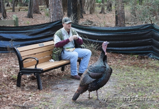  Man having lunch with live turkey at the 2010 Wildlife Heritage & Outdoors Festival   St. Marks National Wildlife Refuge