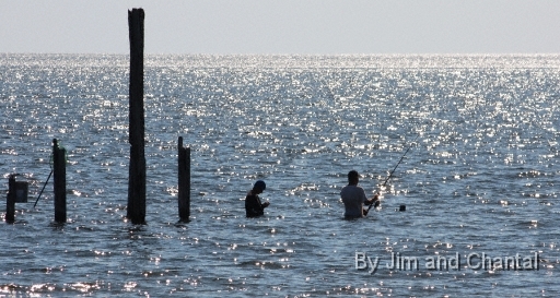  Fishermen in water near pilings  Saint Marks National Wildlife Refuge