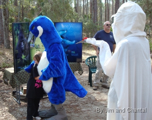  Costumed crane handler watches as child hugs the blue goose   Saint Marks National Wildlife Refuge