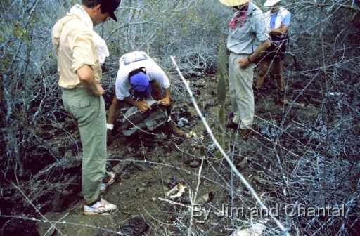  Prince Henri of Luxembourg and others look at remains of slaughtered Galapagos tortoise
