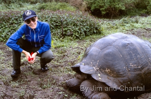  Dr. Chantal Blanton with Galapagos tortoise in Santa Cruz island highlands