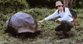 Jim_Pinson-and-tortoise