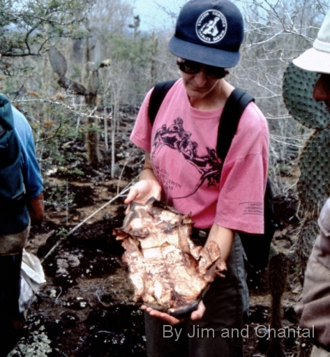  Dr. Chantal Blanton holds plastron of slaughtered Galapagos tortoise